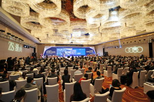 比賽項目,創(chuàng)始人,創(chuàng)新,創(chuàng)業(yè)