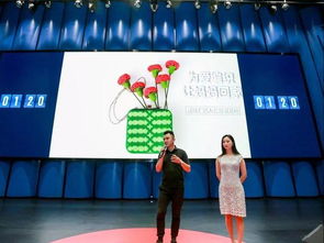 婦女,大賽,創(chuàng)新,創(chuàng)業(yè)