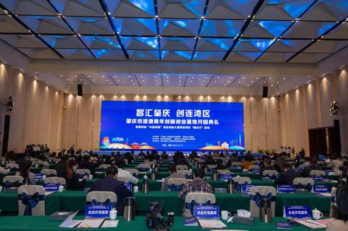 創(chuàng)新創(chuàng)業(yè)的種類,大學生創(chuàng)新創(chuàng)業(yè)基地,港澳青年創(chuàng)新創(chuàng)業(yè)基地