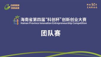 創(chuàng)新創(chuàng)業(yè)團(tuán)隊(duì)文件