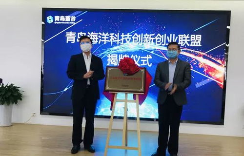 組建,創(chuàng)新,創(chuàng)業(yè),方案