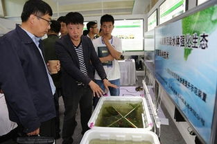 太原萬眾創(chuàng)業(yè)大眾創(chuàng)新