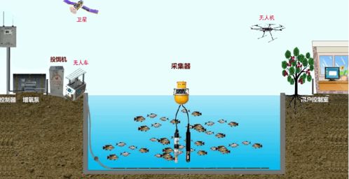 農業(yè)創(chuàng)新創(chuàng)業(yè)的瓶頸