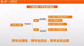 創(chuàng)新創(chuàng)業(yè)中心信息管理系統(tǒng)功能,創(chuàng)新創(chuàng)業(yè)中心信息管理系統(tǒng)課程設(shè)計,創(chuàng)新創(chuàng)業(yè)項目信息管理系統(tǒng)