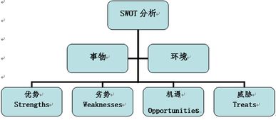 分析報(bào)告,創(chuàng)業(yè)項(xiàng)目,創(chuàng)新,swot