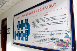 孵化,創(chuàng)新,創(chuàng)業(yè),小微