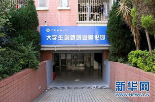 孵化,財(cái)大,創(chuàng)新,基地