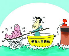 創(chuàng)新創(chuàng)業(yè)對社會發(fā)展的意義,大學(xué)生創(chuàng)新創(chuàng)業(yè)對社會的意義,創(chuàng)新創(chuàng)業(yè)的意義和價(jià)值