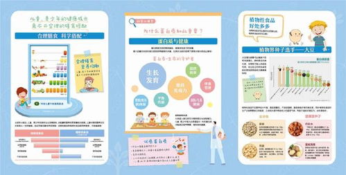 膳食,創(chuàng)業(yè)項(xiàng)目,營(yíng)養(yǎng),創(chuàng)新