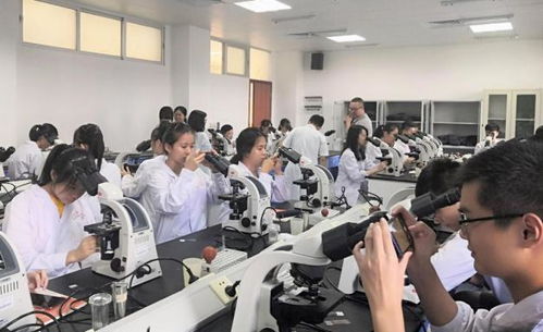 醫(yī)學(xué)檢驗(yàn)創(chuàng)新創(chuàng)業(yè)方向,醫(yī)學(xué)檢驗(yàn)創(chuàng)新創(chuàng)業(yè)方案,醫(yī)學(xué)檢驗(yàn)創(chuàng)新創(chuàng)業(yè)案例