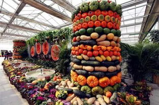 農(nóng)業(yè)科技人才創(chuàng)新創(chuàng)業(yè)獎(jiǎng)勵(lì)辦法