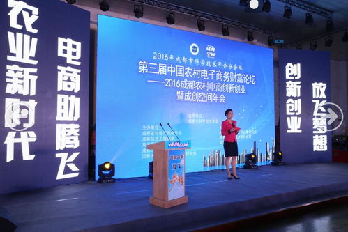 創(chuàng)新創(chuàng)業(yè)農(nóng)村電商提問