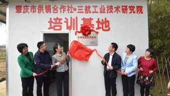 巾幗,先進集體,創(chuàng)新,創(chuàng)業(yè)