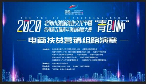 青電商創(chuàng)業(yè)創(chuàng)新提案