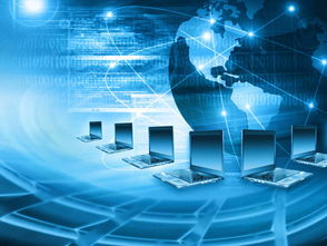 計(jì)算機(jī)專業(yè)的創(chuàng)新創(chuàng)業(yè)