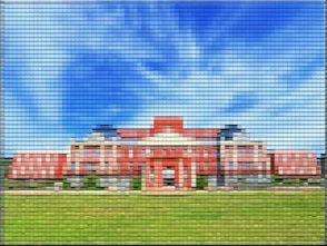 大學(xué)生創(chuàng)新創(chuàng)業(yè)企業(yè)概況