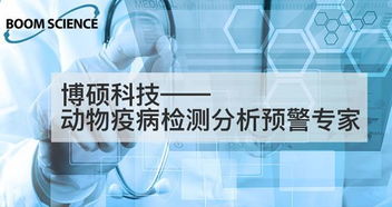 大學(xué)生創(chuàng)新創(chuàng)業(yè)目標(biāo)怎么寫,大學(xué)生創(chuàng)新創(chuàng)業(yè)策劃書怎么寫格式,大學(xué)生創(chuàng)新創(chuàng)業(yè)日志怎么寫