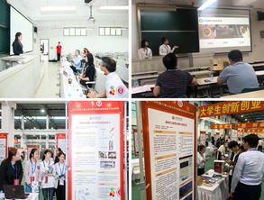 創(chuàng)新創(chuàng)業(yè)實訓總結(jié),創(chuàng)新創(chuàng)業(yè)個人總結(jié),大學生創(chuàng)新創(chuàng)業(yè)總結(jié)