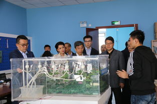 清華大學(xué),電子信息,創(chuàng)新,創(chuàng)業(yè)