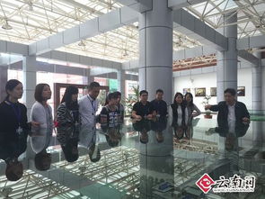 管理學(xué)院,實(shí)訓(xùn),創(chuàng)新,創(chuàng)業(yè)