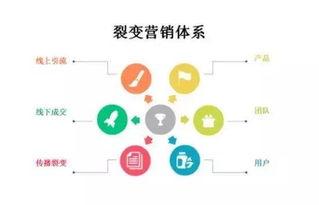 渠道,收集,創(chuàng)新,創(chuàng)業(yè)