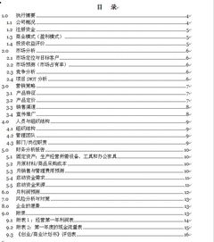 眼鏡創(chuàng)新創(chuàng)業(yè)計(jì)劃書