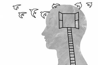 創(chuàng)新創(chuàng)業(yè)課程心得體會,創(chuàng)新創(chuàng)業(yè)課程答案,創(chuàng)新創(chuàng)業(yè)課程的基本原則