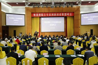 聯(lián)合國創(chuàng)新創(chuàng)業(yè)峰會