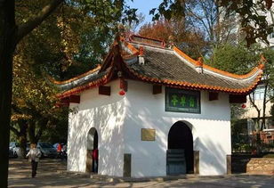 自卑,創(chuàng)新,創(chuàng)業(yè)