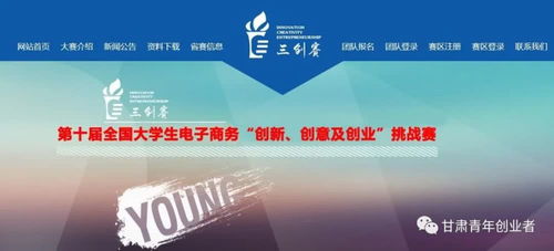 創(chuàng)新,電子商務,創(chuàng)業(yè),大學