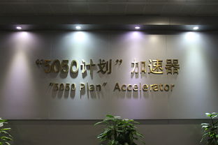 浙江創(chuàng)業(yè)創(chuàng)新調(diào)研論文