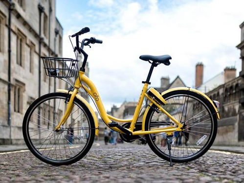 創(chuàng)新創(chuàng)業(yè)比賽答辯,創(chuàng)新創(chuàng)業(yè)比賽答辯,創(chuàng)新創(chuàng)業(yè)比賽主持稿