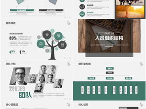 創(chuàng)新創(chuàng)業(yè)項目宣講PPT