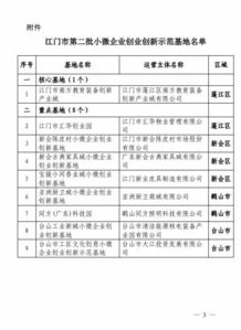 1家市級創(chuàng)業(yè)創(chuàng)新示范基地