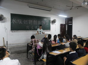 為什么競選創(chuàng)新創(chuàng)業(yè)協(xié)會