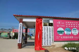 農(nóng)業(yè)大學,河南,創(chuàng)新,創(chuàng)業(yè)