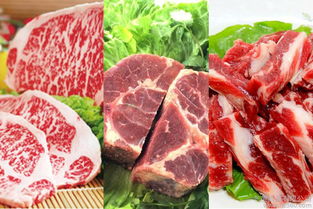 錫盟牛羊肉生產(chǎn)廠家,錫盟牛羊肉專賣店,錫盟牛羊肉介紹