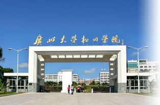 廣州大學松田學院創(chuàng)新創(chuàng)業(yè)學院院長