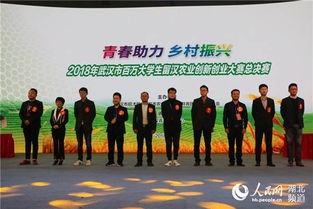 創(chuàng)新創(chuàng)業(yè)大賽作品范例農(nóng)業(yè)