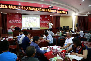 孵化,主體,創(chuàng)新,經(jīng)營(yíng)