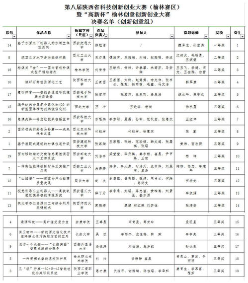 大賽,創(chuàng)新,創(chuàng)業(yè),結(jié)項表