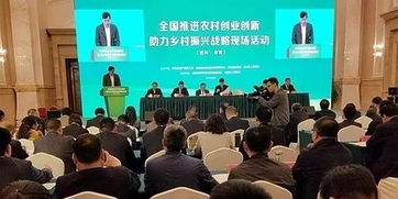 適合農(nóng)村創(chuàng)業(yè)項目,關(guān)于農(nóng)村創(chuàng)新創(chuàng)業(yè)項目,關(guān)于農(nóng)村創(chuàng)新創(chuàng)業(yè)問卷調(diào)查