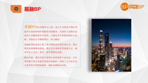 計劃書,創(chuàng)新,電子商務,創(chuàng)業(yè)