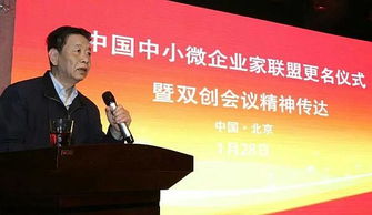 創(chuàng)業(yè)創(chuàng)新企業(yè)家