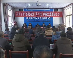 有為,服務(wù)中心,創(chuàng)新,創(chuàng)業(yè)