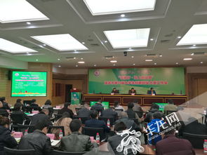 重慶市大學(xué)生創(chuàng)新創(chuàng)業(yè),重慶市大學(xué)生創(chuàng)新創(chuàng)業(yè)服務(wù)網(wǎng),重慶市大學(xué)生創(chuàng)新創(chuàng)業(yè)訓(xùn)練計劃