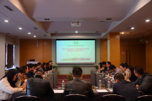 導師,大賽,意見,創(chuàng)新