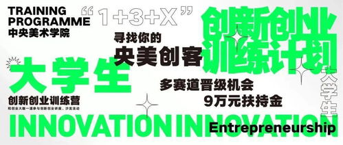 校級(jí)大學(xué)生創(chuàng)新創(chuàng)業(yè)訓(xùn)練計(jì)劃英語