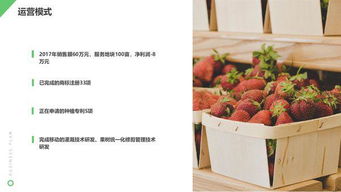 互聯(lián)網(wǎng)+鮮花店大學生創(chuàng)新創(chuàng)業(yè)計劃書,大學生開鮮花店創(chuàng)業(yè)計劃書,大學生鮮花店創(chuàng)業(yè)計劃書的模板