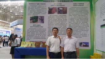 大眾,班會(huì),萬(wàn)眾,創(chuàng)新